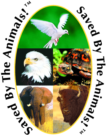 Zachráněni zvířaty - Saved by the Animals